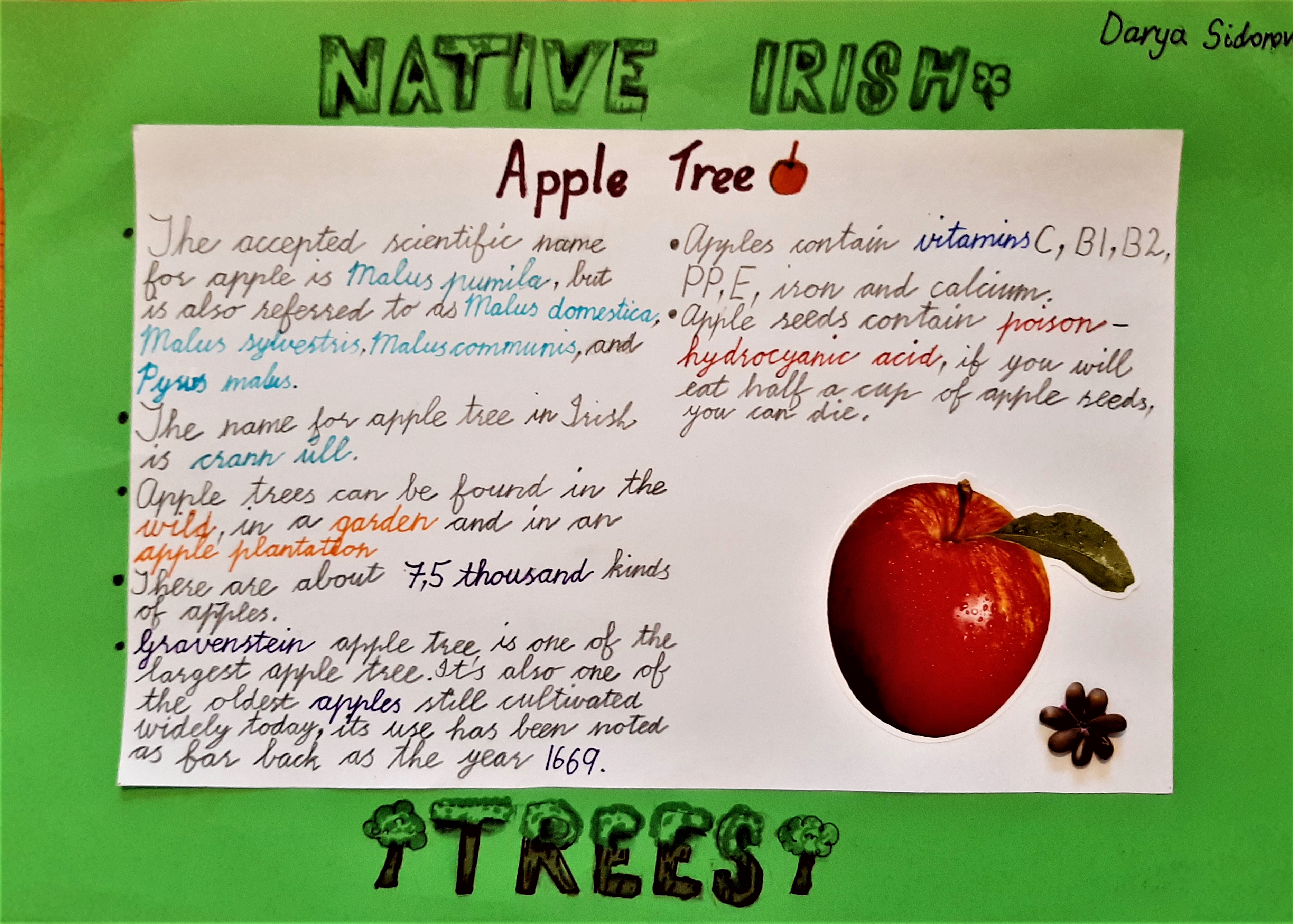 Native Irish Trees